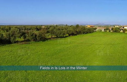 Il Fenicottero - Foto 17