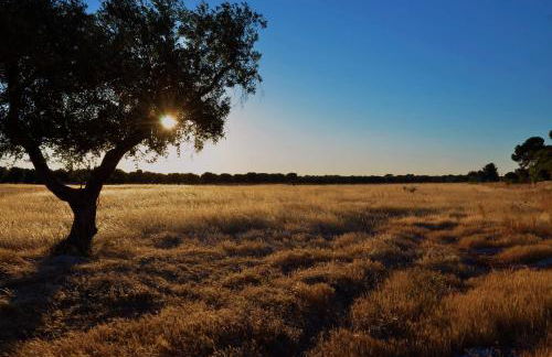 Su Sattisceddu - Foto 27