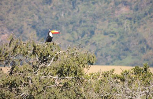 Chácara Ofá, seu refúgio na Serra de MG - Foto 20