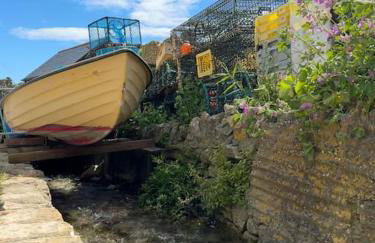 The Hollies, Dorset - Foto 42