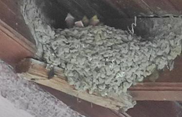 Niki's house 2 - Foto 34