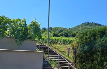 Villa Auszeit Wohnung im Haus Frey - Weindorf, 1 BR bis 3 Personen - Foto 11