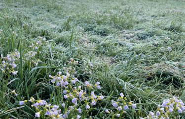 Ferienhof"WaldEsel Rippersroda" - Foto 66