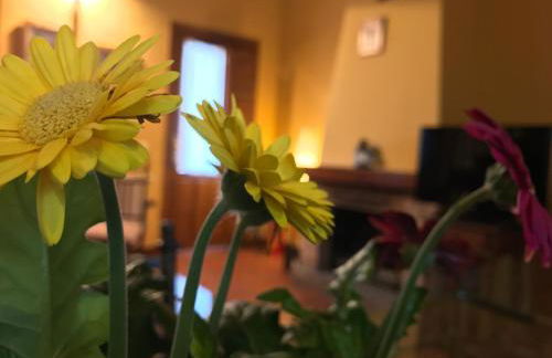 El Bulin de Horcajuelo - Foto 7