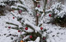 Ferienwohnung Mäurer Leipziger Neuseenland - Foto 27