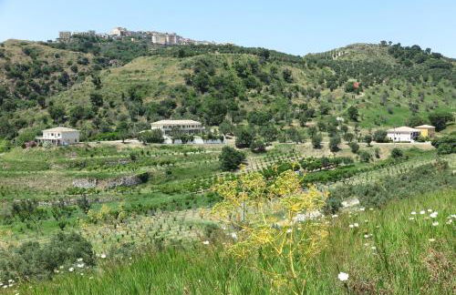 Tenuta Agrituristica Castellesi - Foto 32