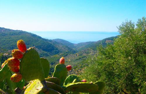 Il Canale 1861 - Foto 9