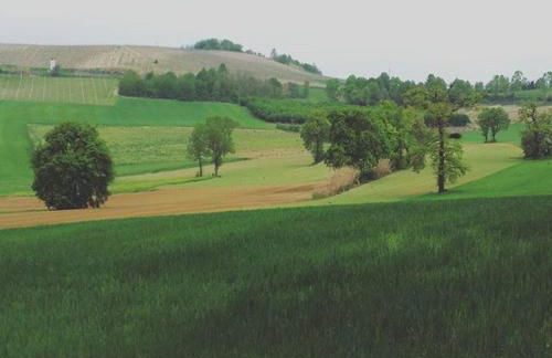 La Casa Blu - Foto 48