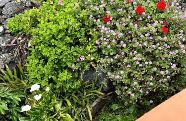 Casa Rural Las Guindas - Cozy Rural House, Hierro - Foto 19