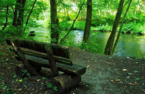 Ferienwohnung Maifeld - Foto 24