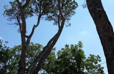 Relais Villa Sofia - Foto 28