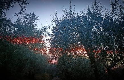 Agriturismo Monaci Templari - Foto 106