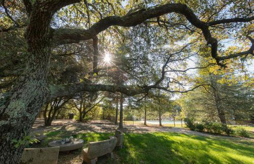 Rouleraventoux, Gîte sportif avec piscine, sauna, salle de sport, jardin - Foto 28