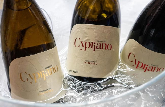 Quinta de Cypriano - Wine & Nature - Foto 23