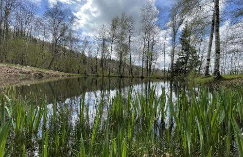 Écrin de verdure pour couple avec parking - FR-1-489-447 - Foto 7