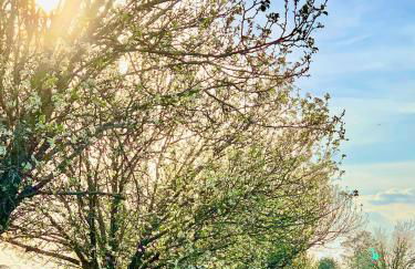 DoubleAcres - Foto 7