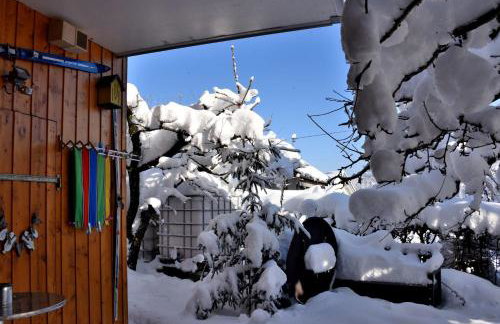 Bantles Parterre Ferienwohnung - Photo 31