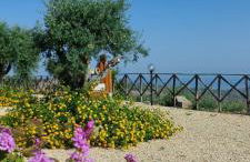 Agriturismo Dispenza - Foto 94