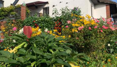 Pilars Fischwerk - Foto 4