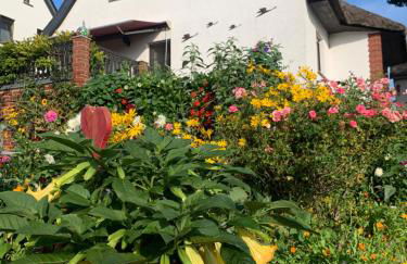 Pilars Fischwerk - Foto 4