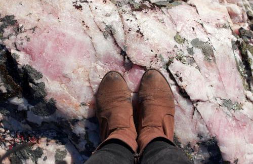 La Grulla Gris - Foto 30