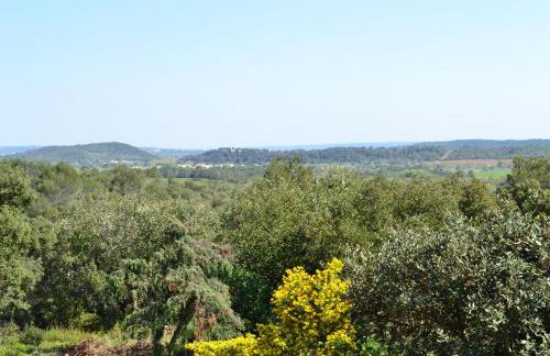 LES SANTOLINES - Studio Retro - Foto 6