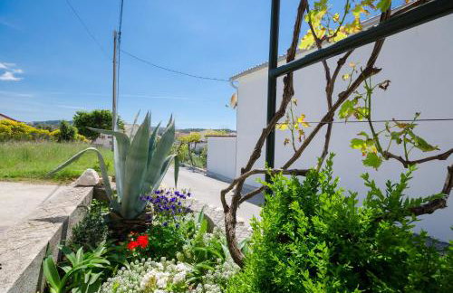 Apartments Slobodanka - Foto 11