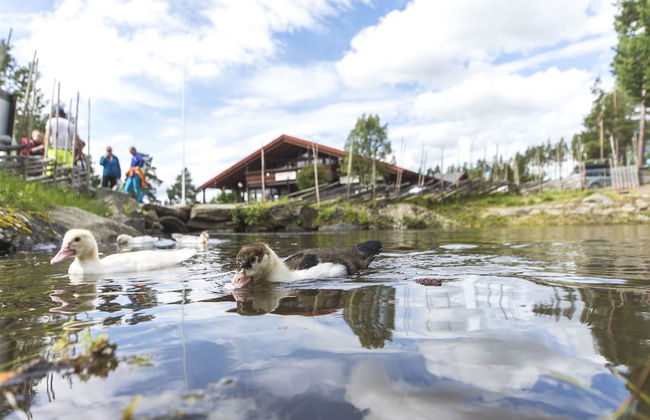Hytter Dombås - Foto 74