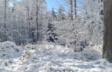 Auszeit Wunschblick - Foto 48