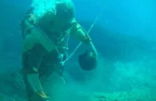 Kalotina's House - Foto 43