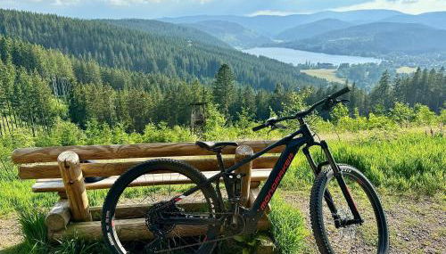 FeWo Fuchs Saig - Photo 3