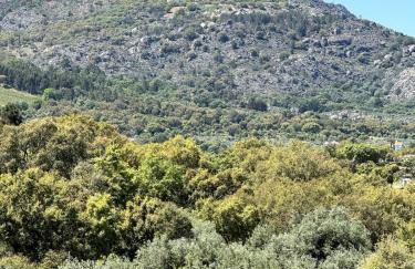 Casa Com Mãos - Foto 62