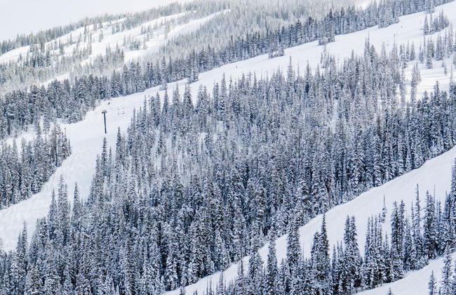 The Innsbruck Aspen by Frias - Foto 12