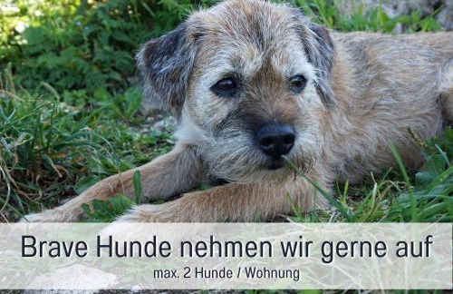 Biohof Burger, 3 sonnige Fewo, alle mit Balkon, Spielzimmer, Grillhütte, 7 km vor Oberstdorf - Photo 12