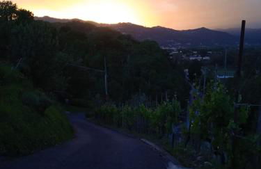 Il Paradiso all'improvviso - Photo 11