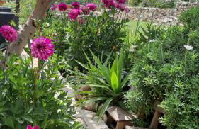 Studio apartman T and T - Photo 14