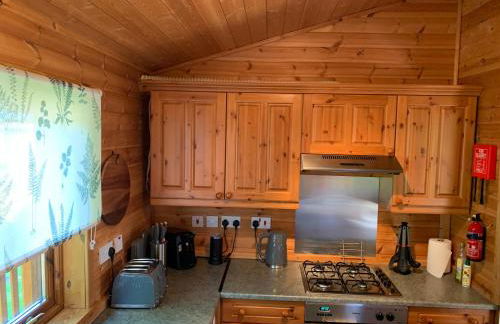 Teviot Lodge - Sleeps 6 - Pets - River Views - Foto 9