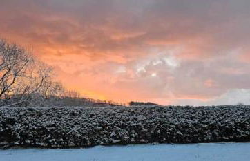 Willow Lodge, Wolfscastle - Foto 44