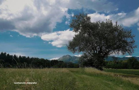 BENVENUTI A CASA PAOLA , WELCOME IN GARFAGNANA! - Foto 20