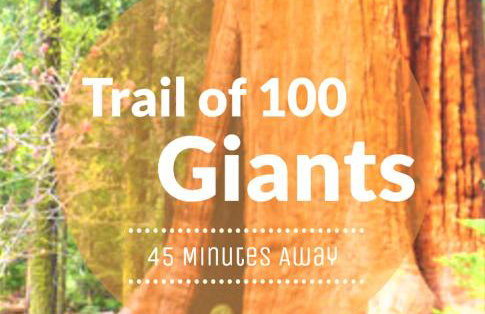 Redwood Retreat, Mountains, Adventure and Nature - Foto 47