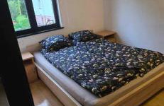 zielono mi - Foto 40