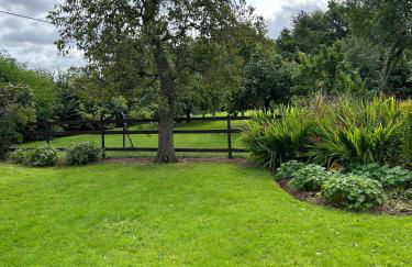 Dog & Family Friendly Private Cottage in Orleton - Foto 22