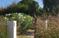 Green House - Foto 27