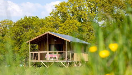 Dihan Evasion - Foto 3