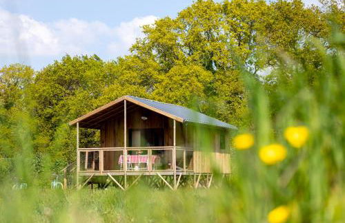 Dihan Evasion - Foto 3