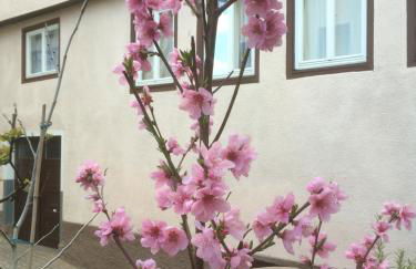 Ferienwohnungen Calwer Höfle Biergasse - für Firmen, Handwerker und Monteure - Foto 9