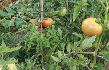 Casa Rural Ttipiaenea Landetxea - Foto 74