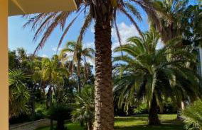 San Michele Apartments&Rooms - Foto 12