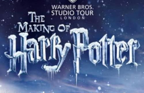 Harry's House (Muggles welcome too!) - Foto 46