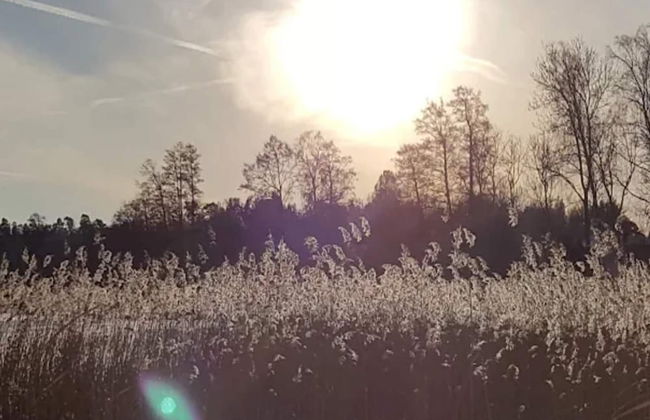 4 Person Holiday Home in Granna-by Traum - Photo 4